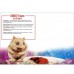 STEVE SUNDRAM MAXI GREETING CARD Wombat-Taurus